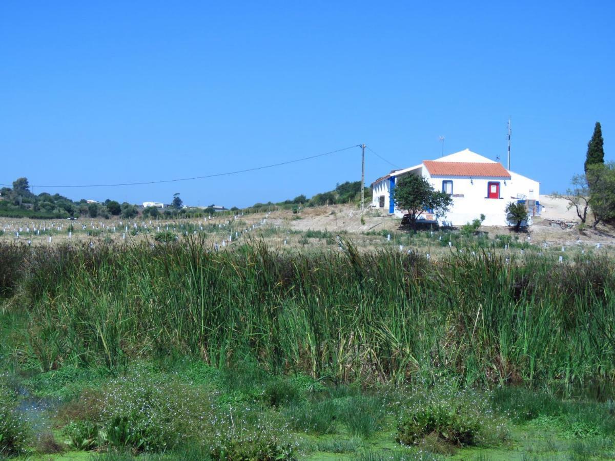 Vale Do Boto-Quinta Com 3 Casas Villa Castro Marim Kültér fotó